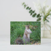 Eichhörnchen auf Postkarte (Stehend Vorderseite)