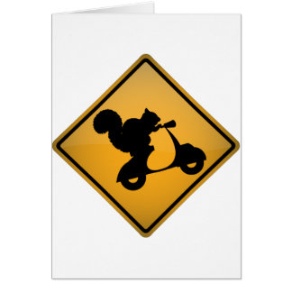 Eichhörnchen auf Roller