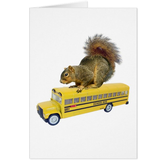 Eichhörnchen auf Schulbus (Vorne)