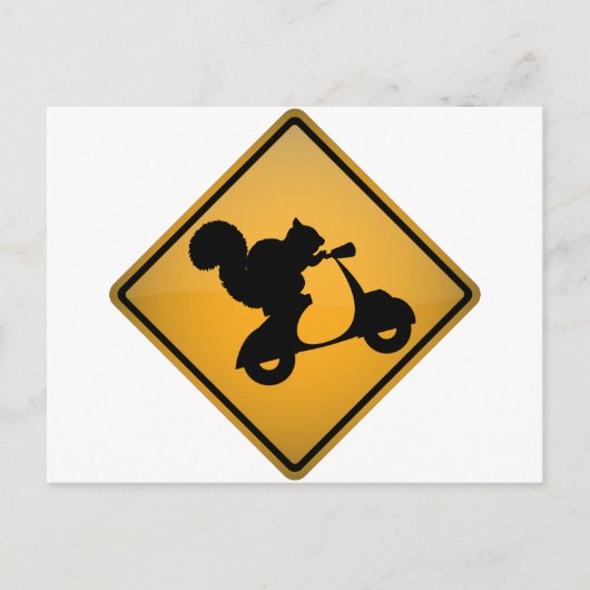 Eichhörnchen auf Scooter Postkarte (Vorderseite)