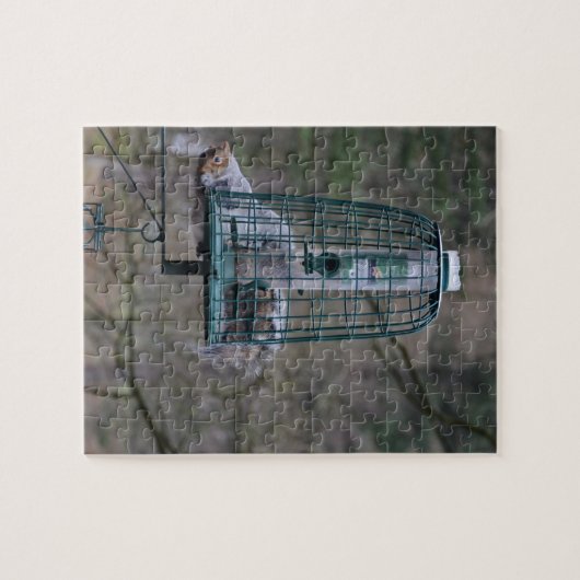 Eichhörnchen auf Vogelzufuhr Puzzle (Horizontal)