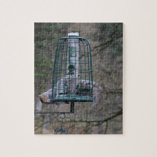 Eichhörnchen auf Vogelzufuhr Puzzle (Vertikal)