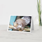 Eichhörnchen auf Zaun Karte (Vorderseite)