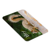 Eichhörnchen auf Zaun-Magnet Magnet (Rechte Seite)