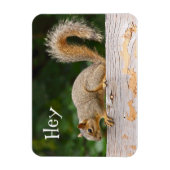 Eichhörnchen auf Zaun-Magnet Magnet (Vertikal)