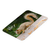 Eichhörnchen auf Zaun-Magnet Magnet (Linke Seite)