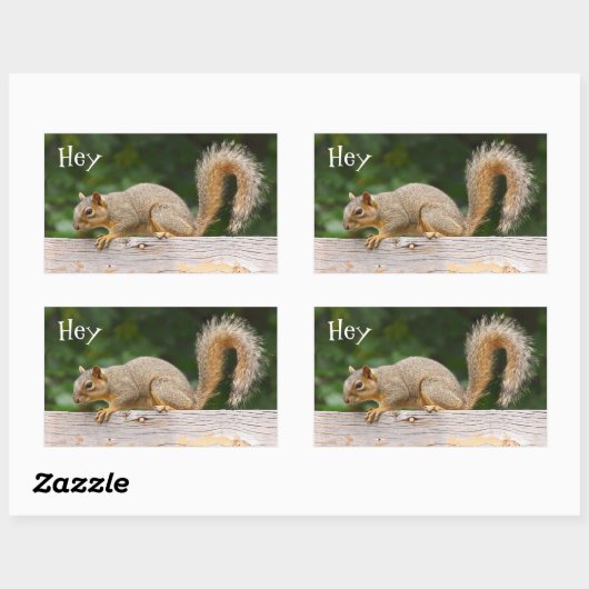 Eichhörnchen auf Zaunklemmern Rechteckiger Aufkleber (Blatt)