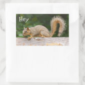 Eichhörnchen auf Zaunklemmern Rechteckiger Aufkleber (Tasche)