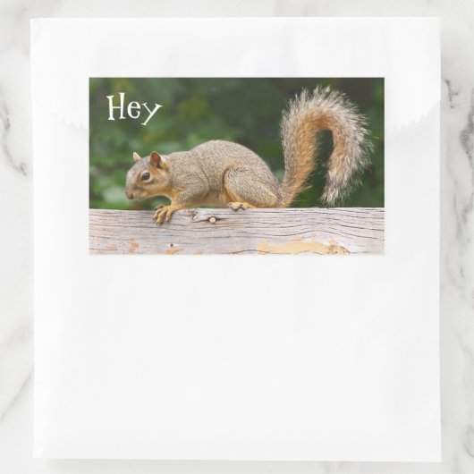 Eichhörnchen auf Zaunklemmern Rechteckiger Aufkleber (Tasche)