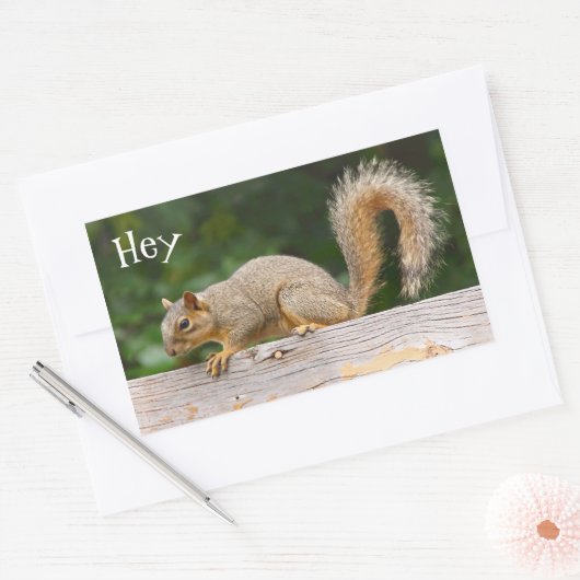 Eichhörnchen auf Zaunklemmern Rechteckiger Aufkleber (Umschlag)