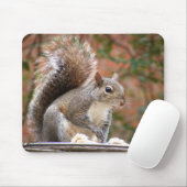 Eichhörnchen auf Zufuhr Mousepad (Mit Mouse)