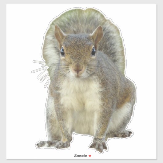 Eichhörnchen Aufkleber (Blatt)