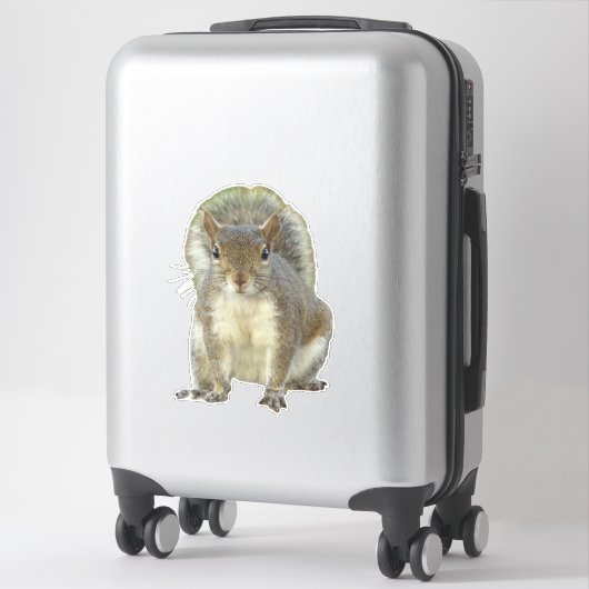Eichhörnchen Aufkleber (Koffer)