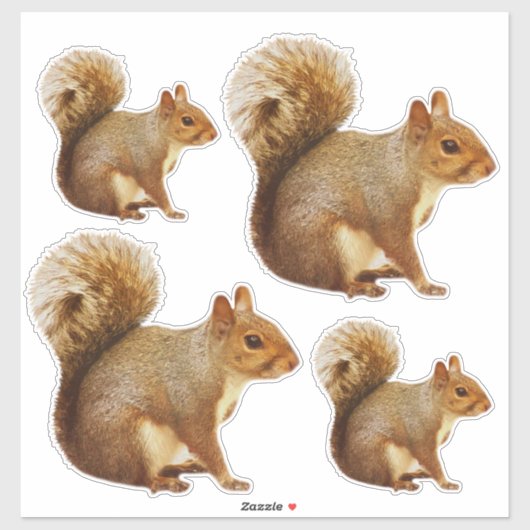 Eichhörnchen-Aufkleber Aufkleber (Blatt)