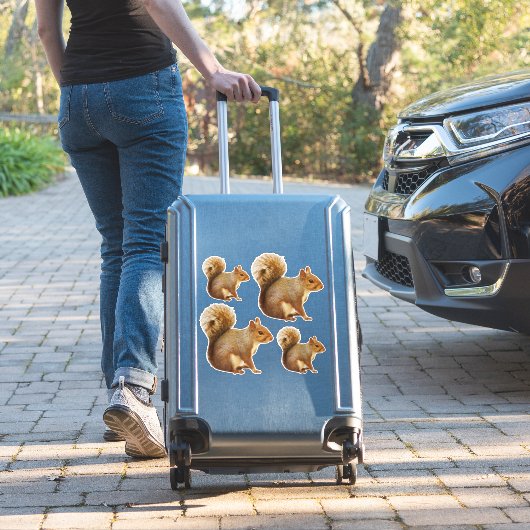 Eichhörnchen-Aufkleber Aufkleber (Koffer Insitu)