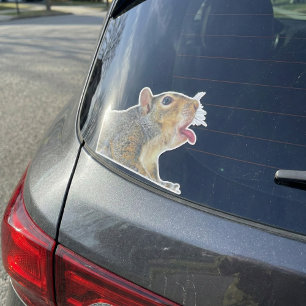 Eichhörnchen-Aufkleber Aufkleber