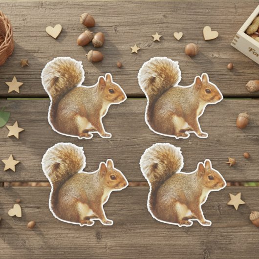 Eichhörnchen-Aufkleber Aufkleber