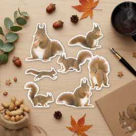 Eichhörnchen-Aufkleber Aufkleber