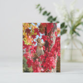 Eichhörnchen aus rotem Herbstbaum Postkarte (Stehend Vorderseite)
