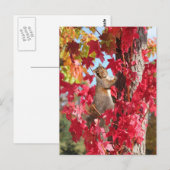 Eichhörnchen aus rotem Herbstbaum Postkarte (Vorne/Hinten)