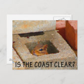 Eichhörnchen ausblenden postkarte (Vorne/Hinten)