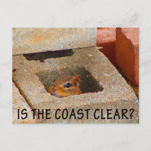 Eichhörnchen ausblenden postkarte