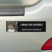 Eichhörnchen-Autoaufkleber, der kennzeichnet Autoaufkleber (Auf Auto)