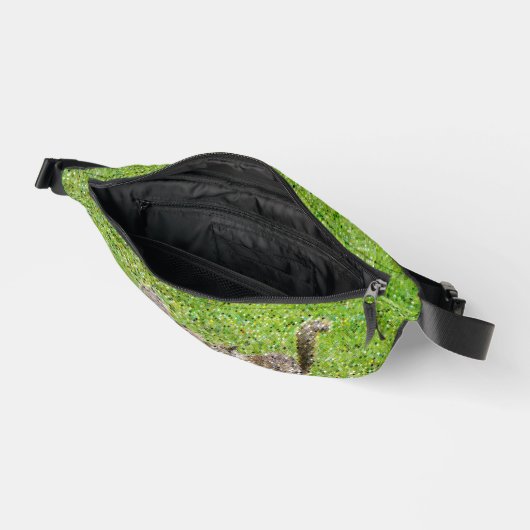 Eichhörnchen Bauchtasche (Offen)