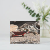 Eichhörnchen-Bauer Postkarte (Stehend Vorderseite)