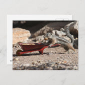 Eichhörnchen-Bauer Postkarte (Vorne/Hinten)