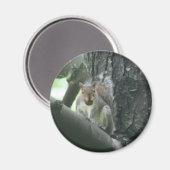 Eichhörnchen Baum-im Tierkunst-Magneten Magnet (Vorderseite/Rückseite)