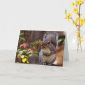 Eichhörnchen beginnt geduldig Karte (Gelbe Blume)