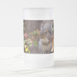 Eichhörnchen beginnt geduldig mattglas bierglas