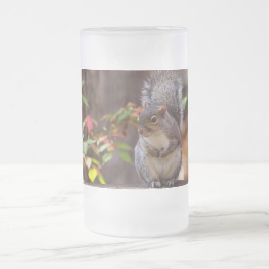 Eichhörnchen beginnt geduldig mattglas bierglas (Mittel)