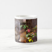 Eichhörnchen beginnt geduldig Tasse (Mittel)