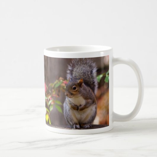 Eichhörnchen beginnt geduldig Tasse (Rechts)