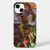Eichhörnchen Begs iPhone Case (Rückseite)