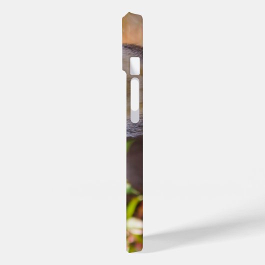 Eichhörnchen Begs iPhone Case (Rückseite / Links)