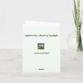 Eichhörnchen bei Sonnenlicht Danke (Rückseite)