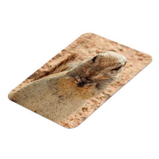 Eichhörnchen beim Frühstück Magnet (Linke Seite)