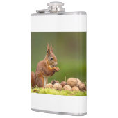 Eichhörnchen beim Nussessen Flachmann (Links)