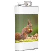 Eichhörnchen beim Nussessen Flachmann (Rechts)