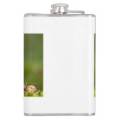 Eichhörnchen beim Nussessen Flachmann (Rückseite)