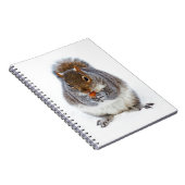 Eichhörnchen beim Nussessen im Winterschnee Notizblock (Rechte Seite)