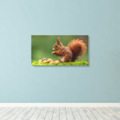 Eichhörnchen beim Nussessen Leinwanddruck (Insitu (Holzboden))