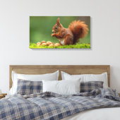 Eichhörnchen beim Nussessen Leinwanddruck (Insitu (Schlafzimmer))