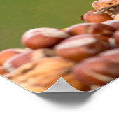 Eichhörnchen beim Nussessen Poster (Ecke)