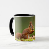 Eichhörnchen beim Nussessen Tasse (Vorderseite Links)