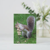 Eichhörnchen bestimmt postkarte (Stehend Vorderseite)
