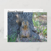 Eichhörnchen beten postkarte (Vorne/Hinten)